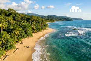CAByS New Codes 2026 for Electronic Invoicing in Costa Rica
